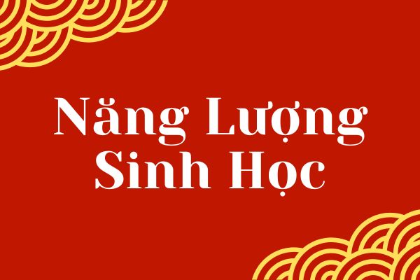 Năng Lượng Sinh Học Là Gì? Góc Nhìn Khí Công Phương Đông