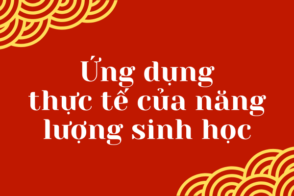 Luyện Khí Công Để Tăng Cường Sinh Lực, Sức Khỏe, Trí Tuệ
