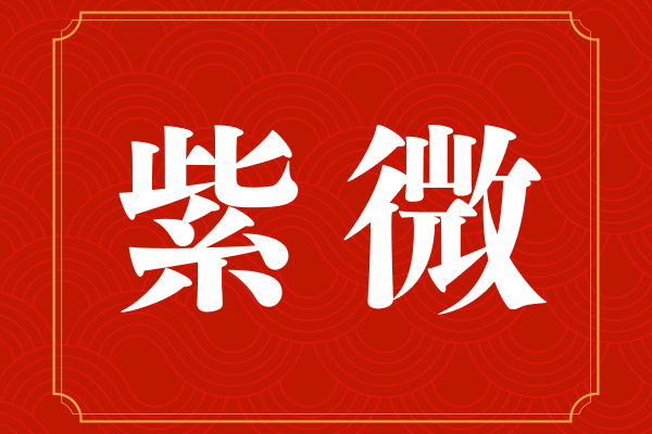 Tử Vi Là Gì? Giải Mã Bản Đồ Số Phận Của Mỗi Con Người